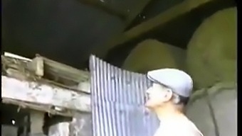 Maa Poika Nautintoja Nuori Kaupunkilainen Nainen Mobiili Video