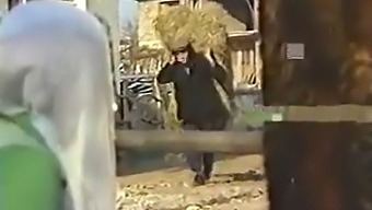 Cuplu Turc Fierbinte Se Sărută Și Se Joacă Cu Sânii Celuilalt