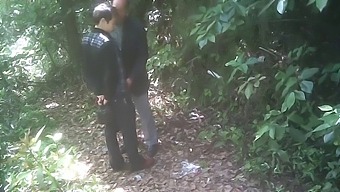Parque Gay Navegando Com Amadora Asiática